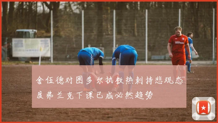 舍伍德对图多尔执教热刺持悲观态度弗兰克下课已成必然趋势