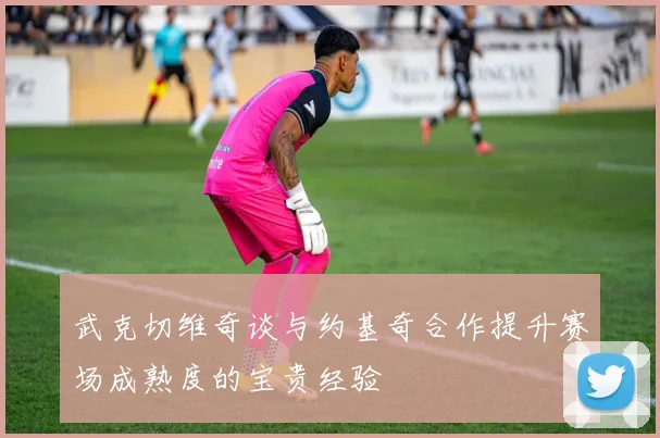 武克切维奇谈与约基奇合作提升赛场成熟度的宝贵经验