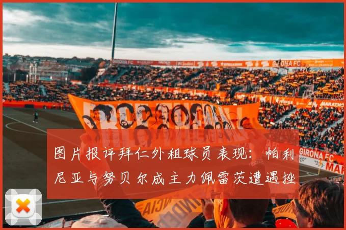 图片报评拜仁外租球员表现：帕利尼亚与努贝尔成主力佩雷茨遭遇挫折